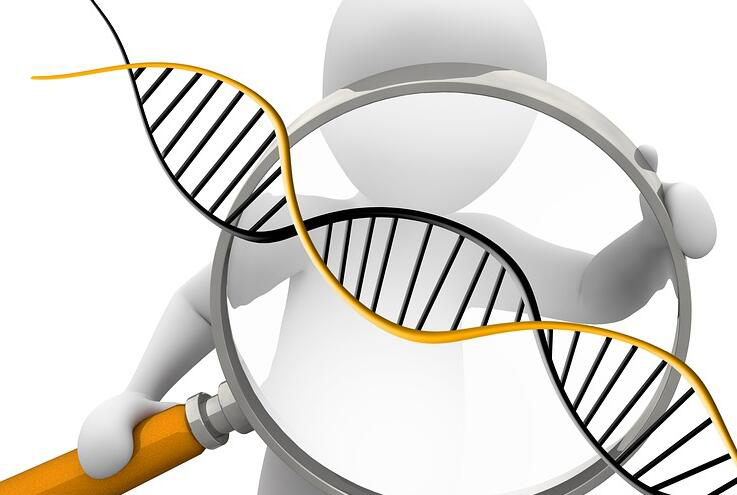 四平怎么样选择正规DNA鉴定机构,四平正规的亲子鉴定大概需要多少钱