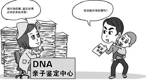 广西司法亲子鉴定的流程,广西司法DNA鉴定出结果时间